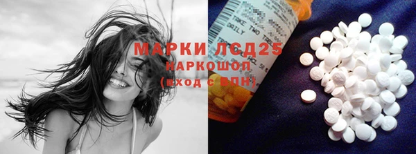 прущие грибы Михайлов