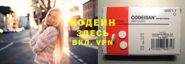 прущие грибы Михайлов