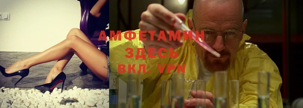 прущие грибы Михайлов