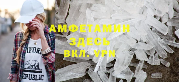 прущие грибы Михайлов