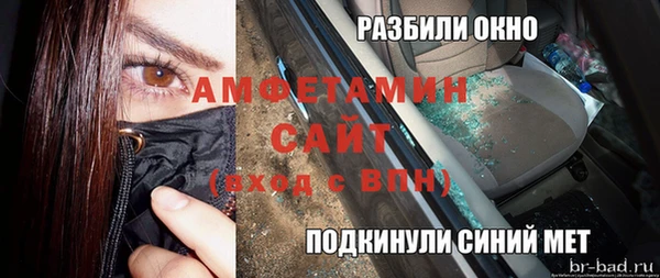 прущие грибы Михайлов
