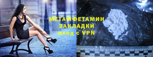 прущие грибы Михайлов