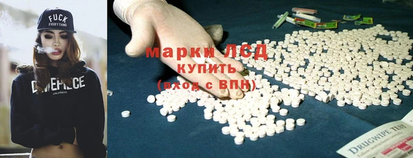 прущие грибы Михайлов