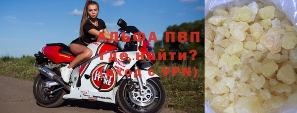 прущие грибы Михайлов