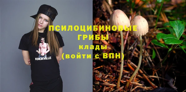 прущие грибы Михайлов