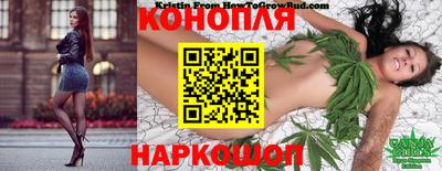 прущие крисы Заводоуковск