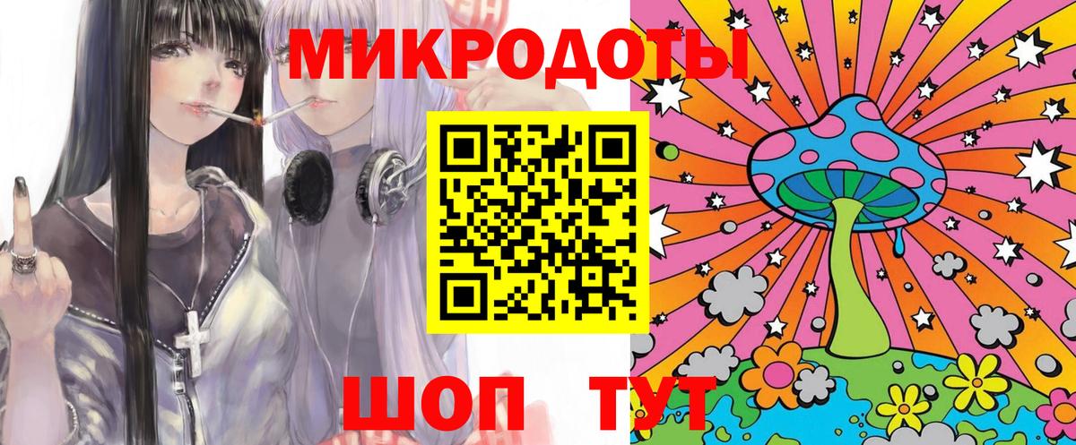Псилоцибиновые грибы Psilocybine cubensis Вологда