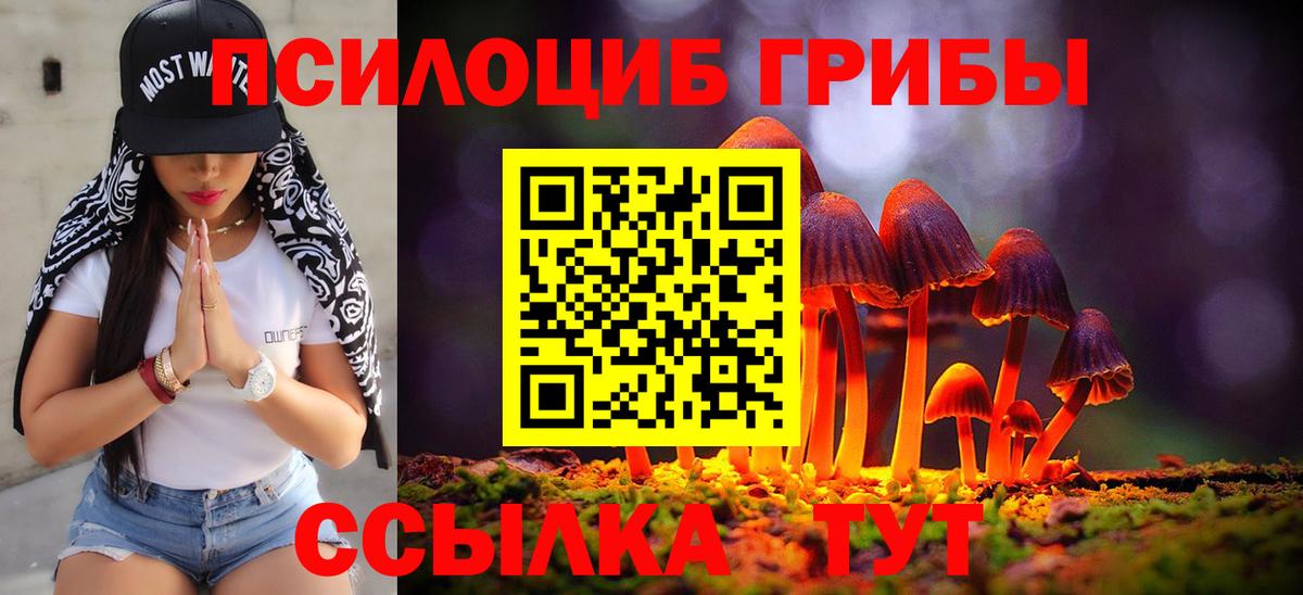 Галлюциногенные грибы GOLDEN TEACHER  Вход с VPN  Вологда 