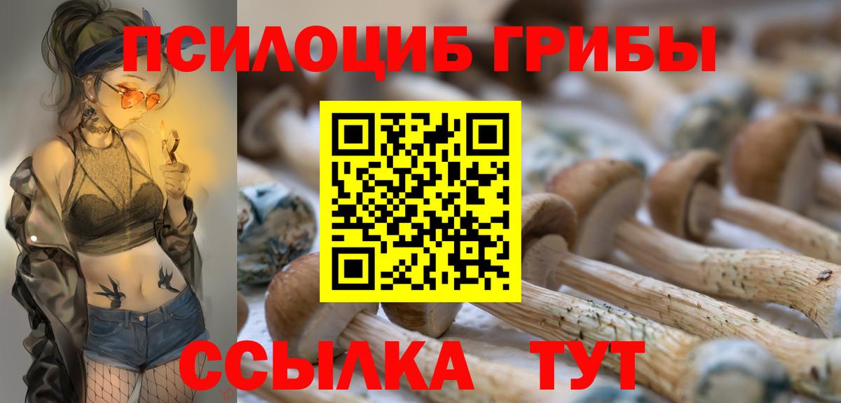 Вологда  Псилоцибиновые грибы прущие грибы  Вход с VPN 